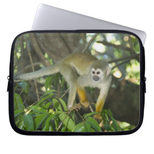 Common Squirrel Monkey, (Saimiri sciureus), Rio Laptop Sleeve