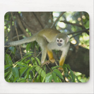 Common Squirrel Monkey, (Saimiri sciureus), Rio Mouse Pad