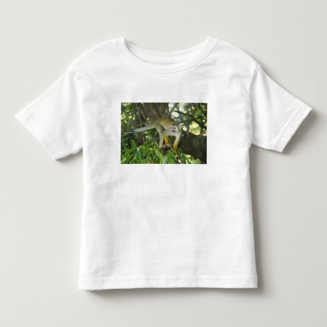 Common Squirrel Monkey, (Saimiri sciureus), Rio Toddler T-Shirt (Front)