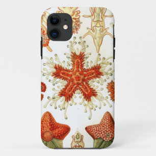 Common Starfish Designs iPhone 11 Case