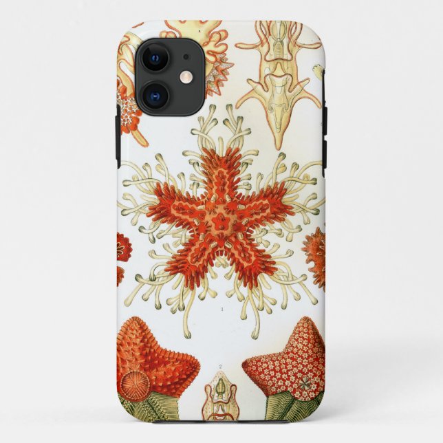 Common Starfish Designs Case-Mate iPhone Case (Back)