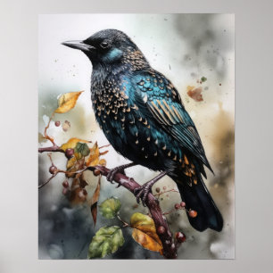 Common Starling Bird Art Print Poster