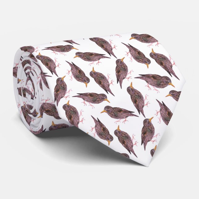 Common starling or European starling birds Tie (Rolled)