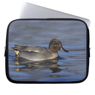 Common Teal, Anus crecca, male, Unterlunkhofen, Laptop Sleeve