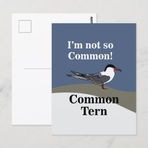 Common Tern Seabird Bird Funny Postcard