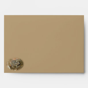 Common Toad Coordinating Items Envelope