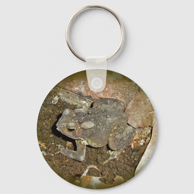 Common Toad Coordinating Items Key Ring (Front)