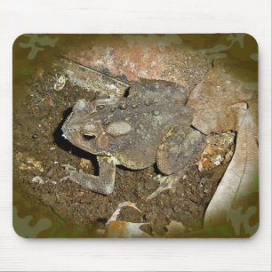 Common Toad Coordinating Items Mouse Pad