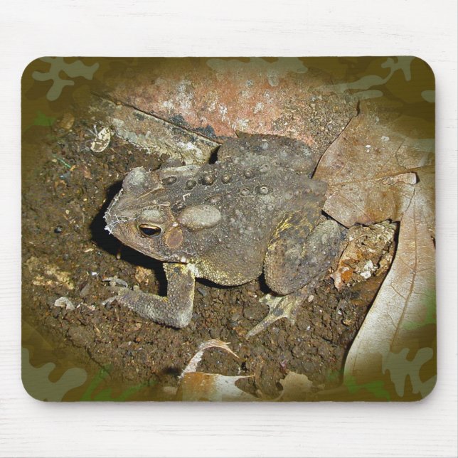 Common Toad Coordinating Items Mouse Pad (Front)