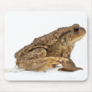 Common toad or European toad (Bufo bufo) pissing Mouse Pad