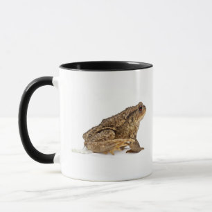 Common toad or European toad (Bufo bufo) pissing Mug