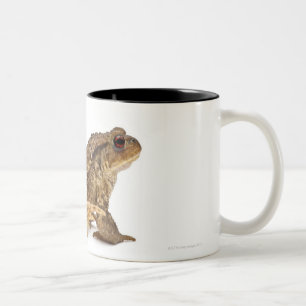 Common toad or European toad (Bufo bufo) pissing Two-Tone Coffee Mug