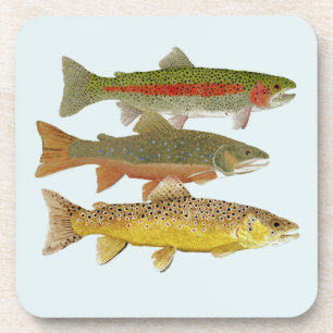 Common Trout Coasters