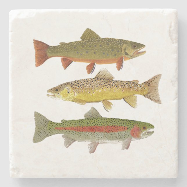 Common Trout Marble Coaster (Front)