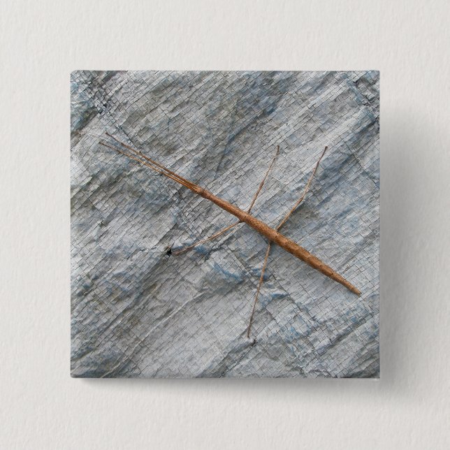 Common Walkingstick (Diapheromera femorata) Items 15 Cm Square Badge (Front)