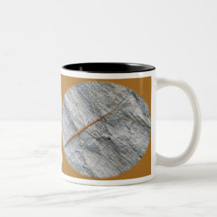 Common Walkingstick (Diapheromera femorata) Items Two-Tone Coffee Mug