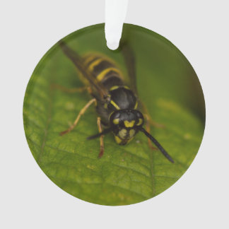 Common Wasp Ornament