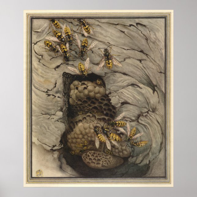 COMMON WASPS - Insect Book Illustration Poster (Front)
