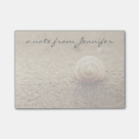 Common Whelk | Botany Bay