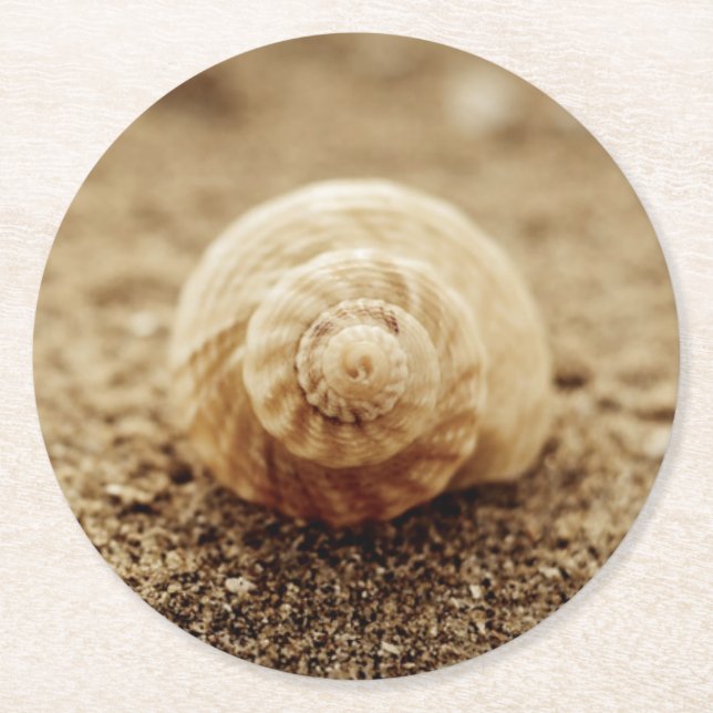 Common Whelk | Botany Bay Round Paper Coaster (Front)