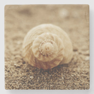 Common Whelk Botany Bay Stone Coaster