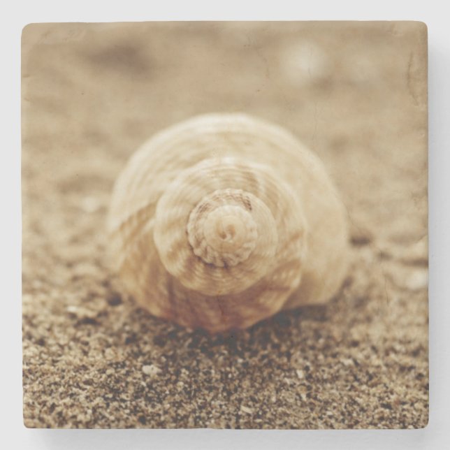 Common Whelk | Botany Bay Stone Coaster (Front)