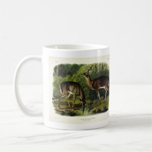 Common (White-tailed) Deer - Audubon's Quadrupeds Coffee Mug