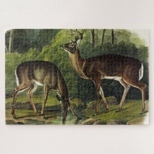 Common (White-tailed) Deer - Audubon's Quadrupeds Jigsaw Puzzle