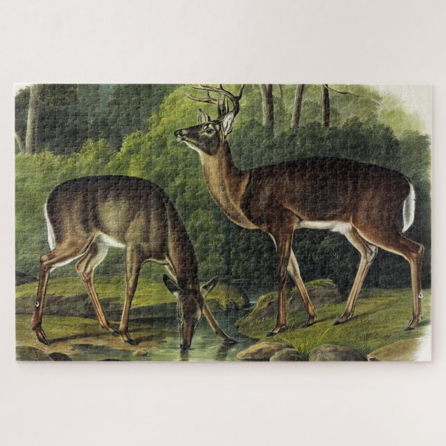 Common (White-tailed) Deer - Audubon's Quadrupeds Jigsaw Puzzle (Horizontal)