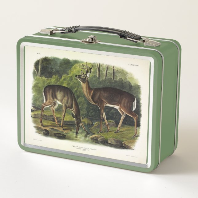 Common (White-tailed) Deer - Audubon's Quadrupeds Metal Lunch Box (Front)