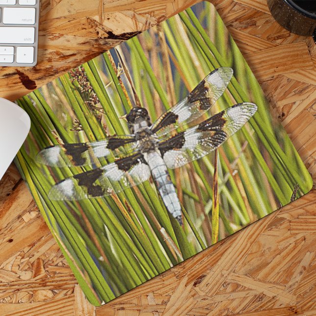 Common Whitetail Dragonfly Photo Mouse Pad (In Situ)