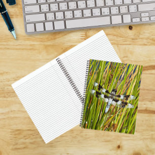 Common Whitetail Dragonfly Photo Notebook