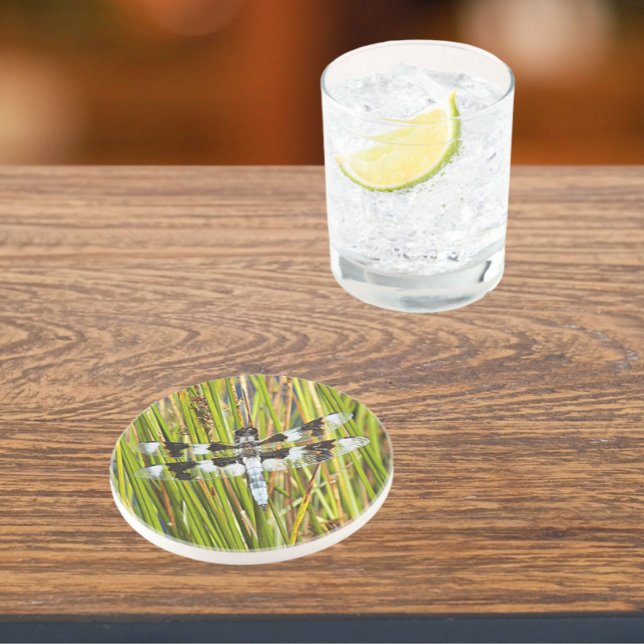 Common Whitetail Dragonfly Photo Sandstone Coaster (In Situ)