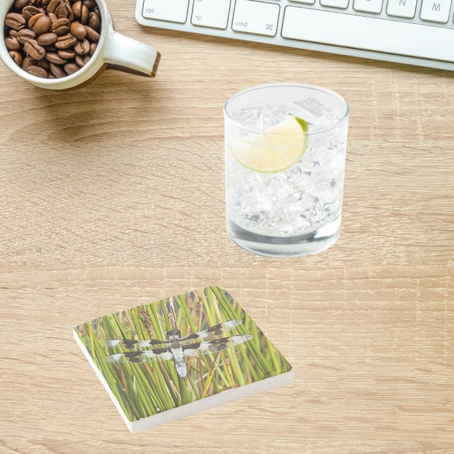 Common Whitetail Skimmer Dragonfly Photo Stone Coaster (In Situ Office)