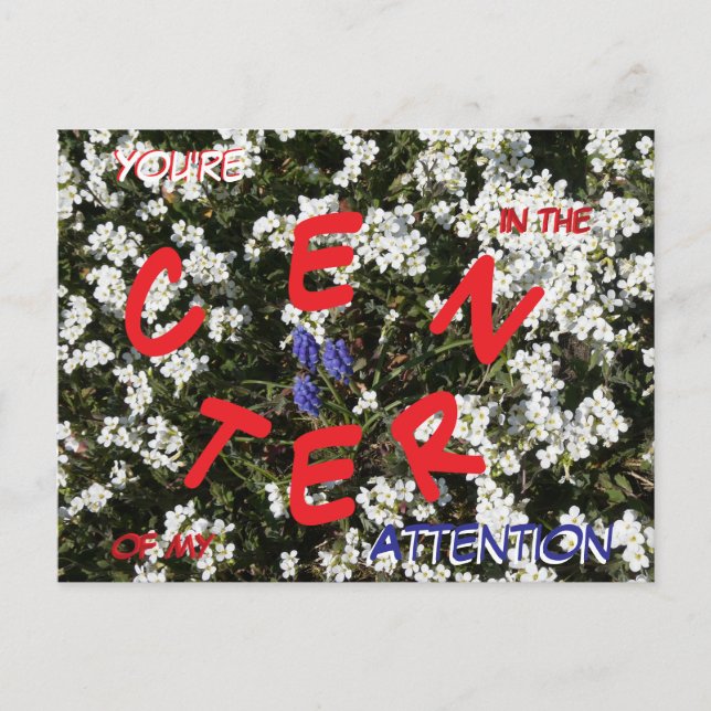 Common Yarrow & Grape Hyacinth Message Postcard (Front)