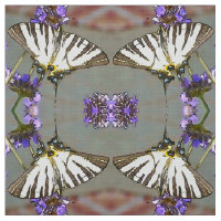 Common Yellow Swallowtail On Lilac Flowers Black O