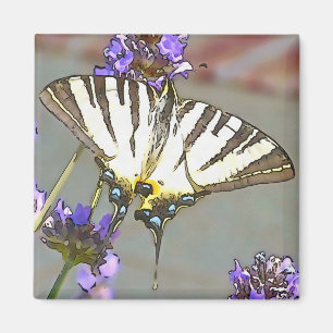 Common Yellow Swallowtail On Lilac Flowers Black O Magnet