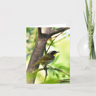 Common Yellowthroat #1 - Blank Note Card