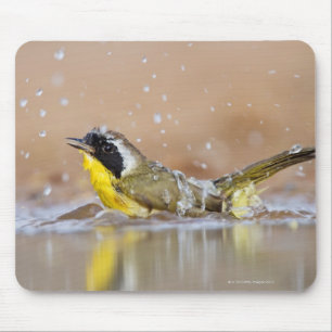 Common yellowthroat bathing mouse pad