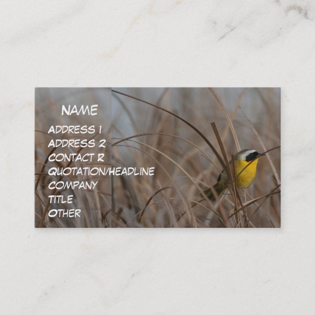 Common Yellowthroat Business Card (Front)