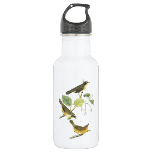 Common Yellowthroat by Audubon 532 Ml Water Bottle