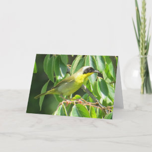Common Yellowthroat Card