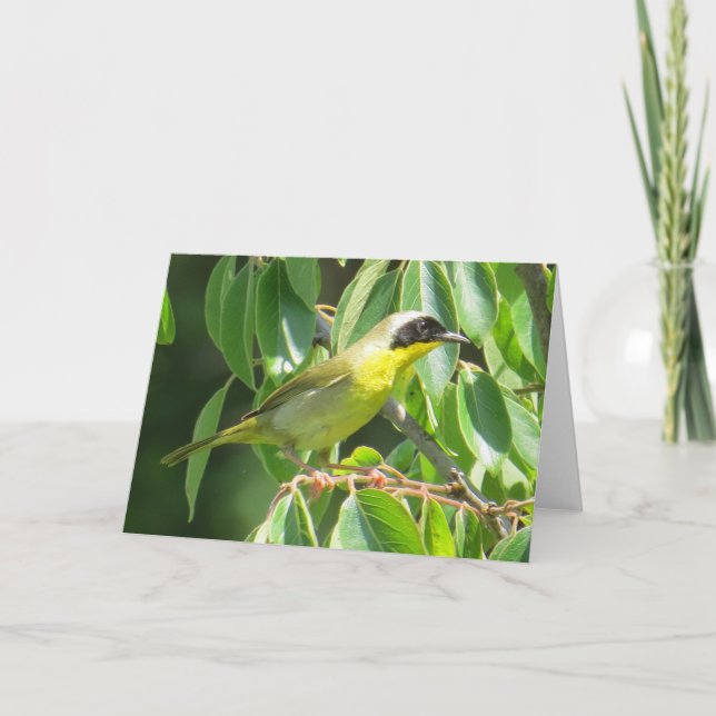 Common Yellowthroat Card (Front)