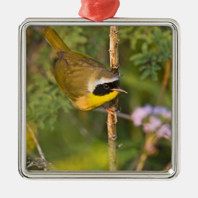 Common Yellowthroat Geothlypis trichas) male, Metal Tree Decoration (Front)
