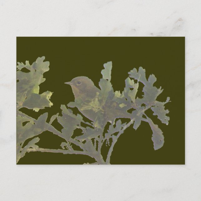 Common Yellowthroat Postcard (Front)