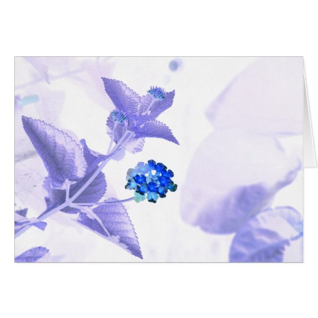 Communication GC (Front Horizontal)