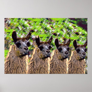 'Como se llama?' Poster