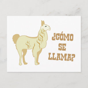 Como Se Llama?  What is your name? Postcard