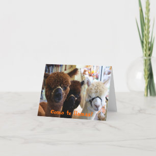 Como te llamas? Notecard