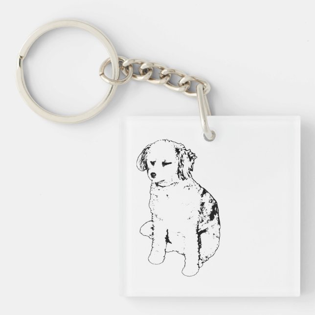 Compact Assurance, Steady Mark Key Ring (Front)